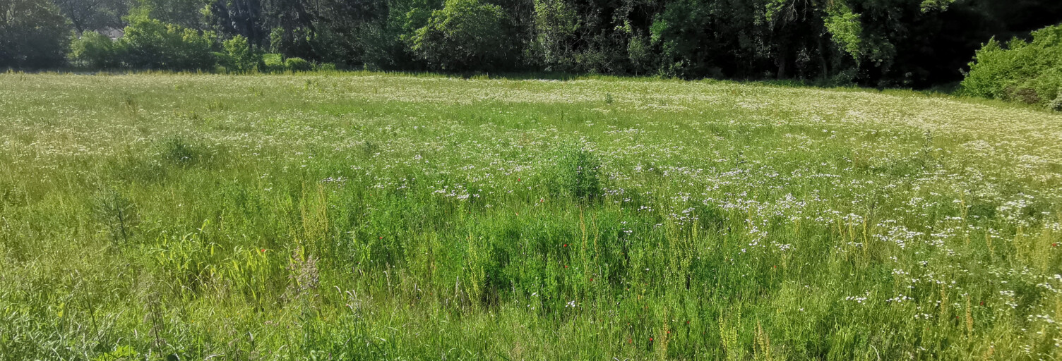 Terrain  420 m² à vendre à Sermaise (91530)