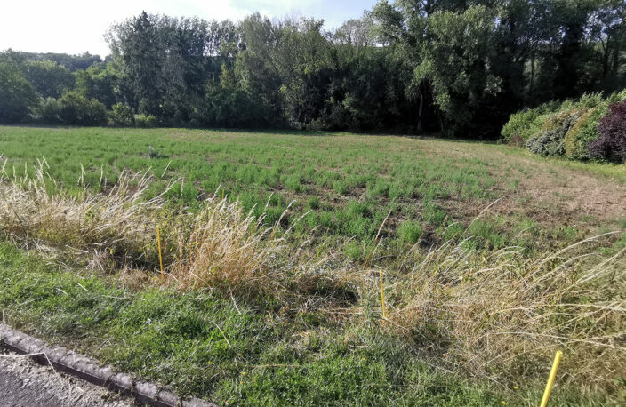 Dept Essonne (91), à vendre à SERMAISE (91530), Terrain cons — photo 3