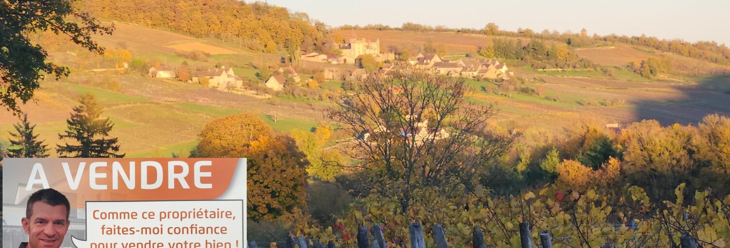 Maison 9 Pièces 370 m² à vendre à Jambles (71640)