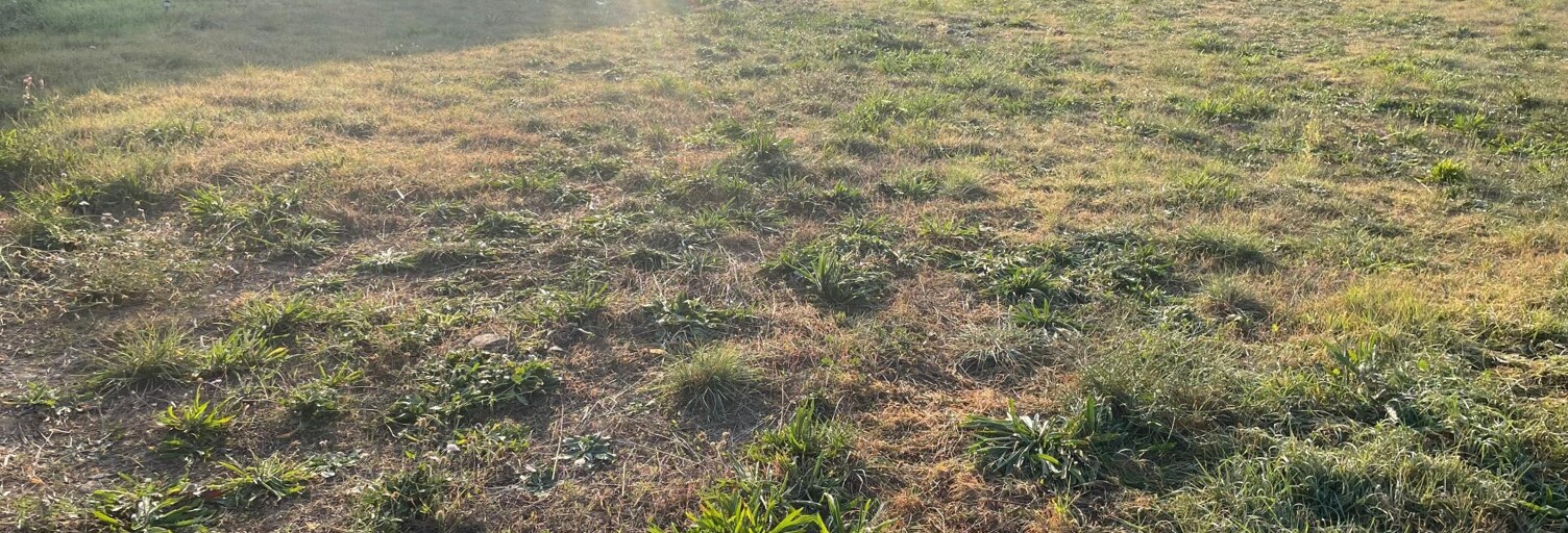 Terrain  501 m² à vendre à Oraison (04700)