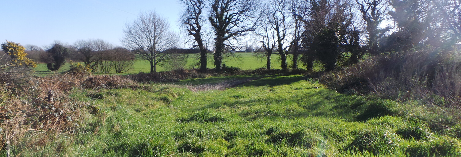 Terrain  1500 m² à vendre à Rospez (22300)