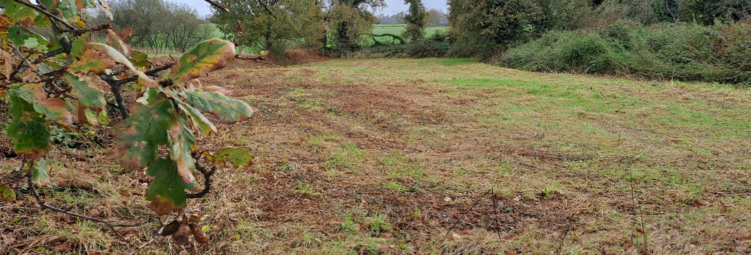 Terrain  1500 m² à vendre à Rospez (22300)