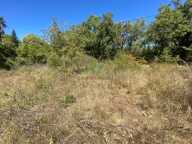 ROQUEFORT-LES-PINS : TERRAIN CONSTRUCTIBLE — photo 2