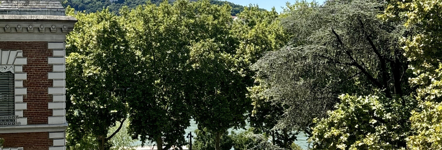 Appartement 5 Pièces 130 m² à vendre à Lyon 3 (69003)