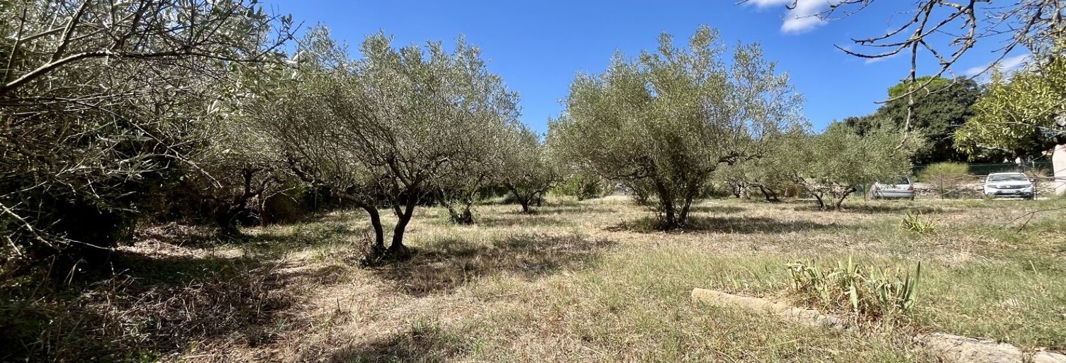 Terrain  1114 m² à vendre à Aubais (30250)