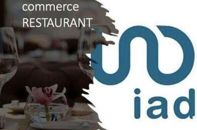 Commerce  250000 €