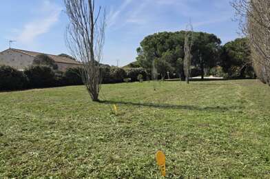 Terrain  360000 €