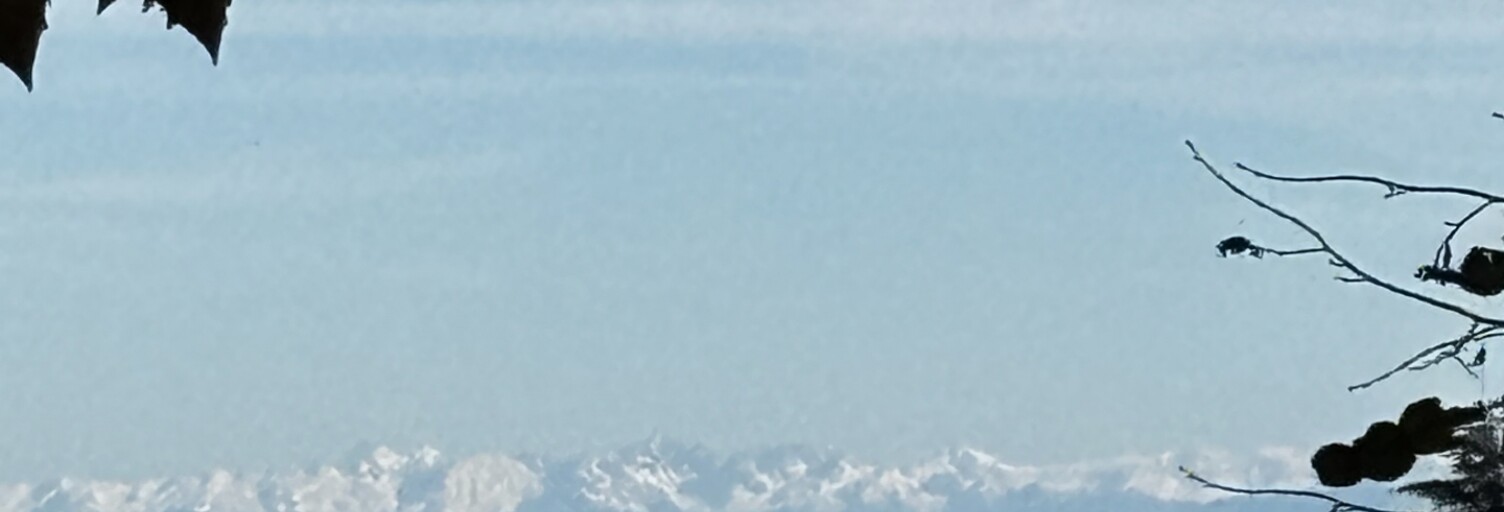 Appartement 3 Pièces 103 m² à vendre à Pollionnay (69290)