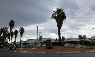 Commerce  135 m² à louer à Canet-en-Roussillon (66140)