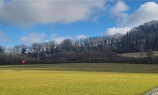 Terrain  11142 m² à vendre à Auterive (32550)