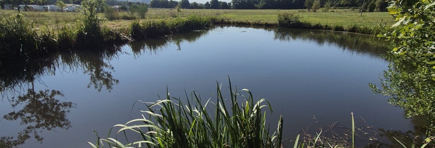 Terrain  5316 m² à vendre à Ferrières-en-Bray (76220)