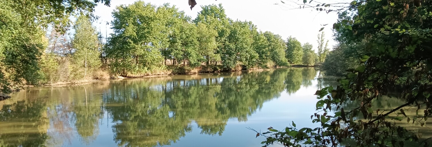 Terrain  30533 m² à vendre à Touchay (18160)