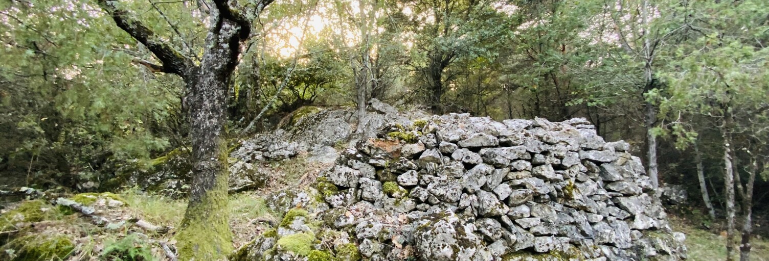 Terrain  1640 m² à vendre à Cabris (06530)