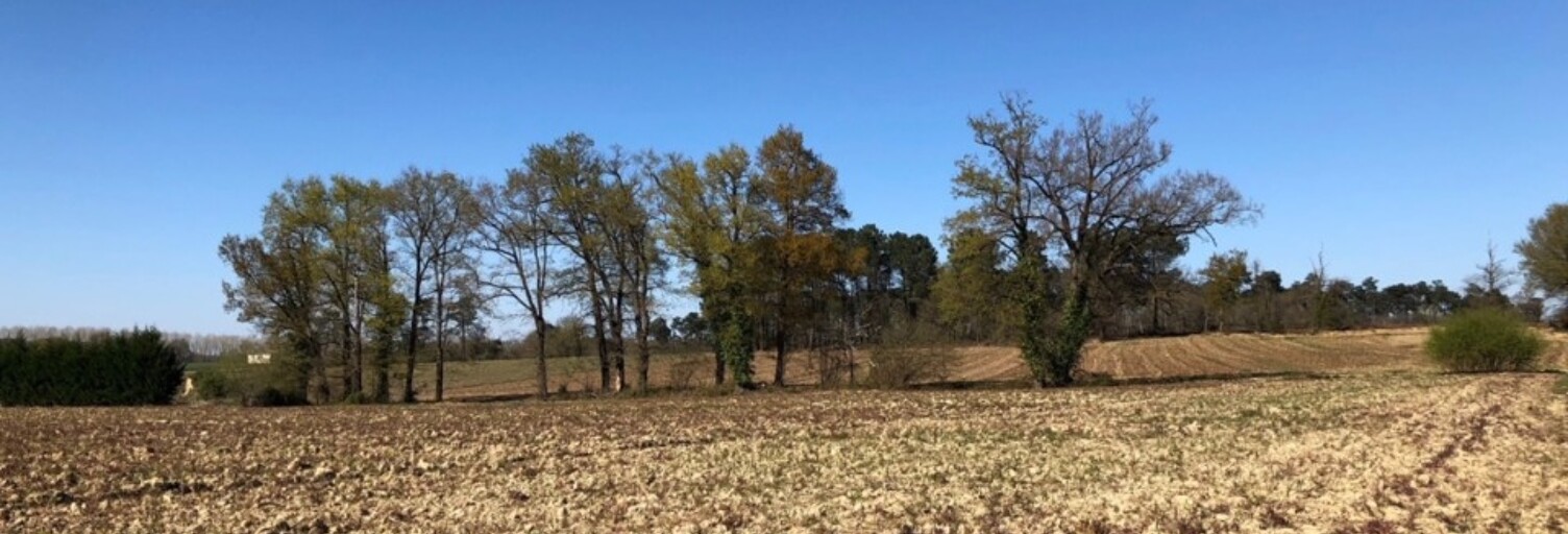 Terrain  1800 m² à vendre à Momuy (40700)