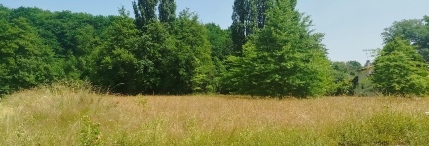 Terrain  1499 m² à vendre à Sainte-Colombe (40700)