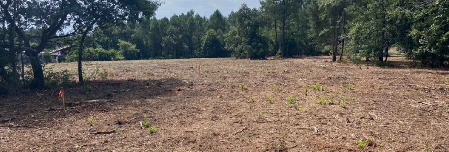 Terrain  700 m² à vendre à Pontenx-les-Forges (40200)