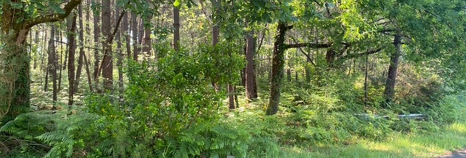 Terrain  627 m² à vendre à Sanguinet (40460)