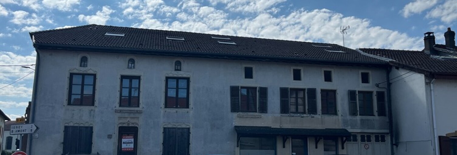 Immeuble  707 m² à vendre à Avricourt (57810)