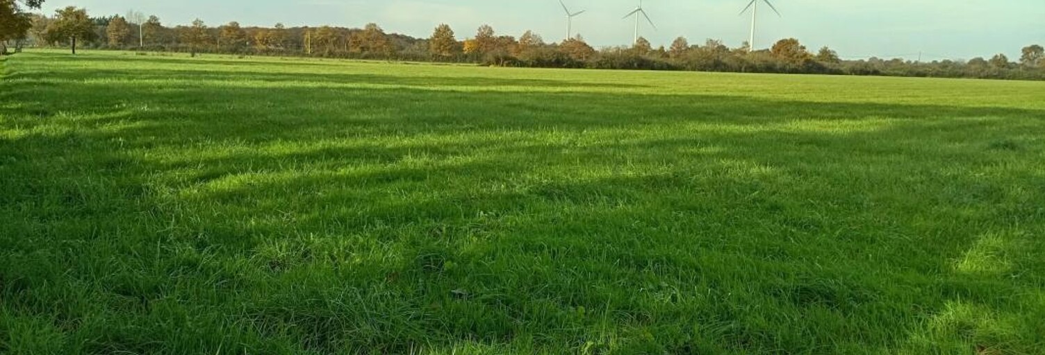 Maison  170000 m² à vendre à Vallons-de-l'Erdre (44540)