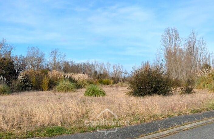 Terrain 6000m² ROQUES (31) — photo 2