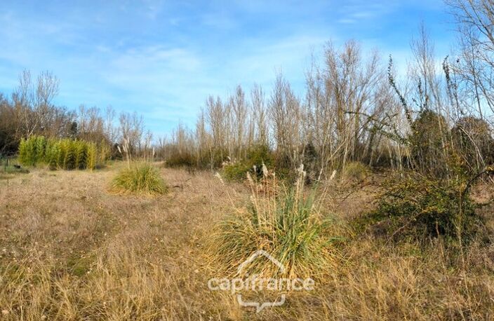 Terrain 6000m² ROQUES (31) — photo 3