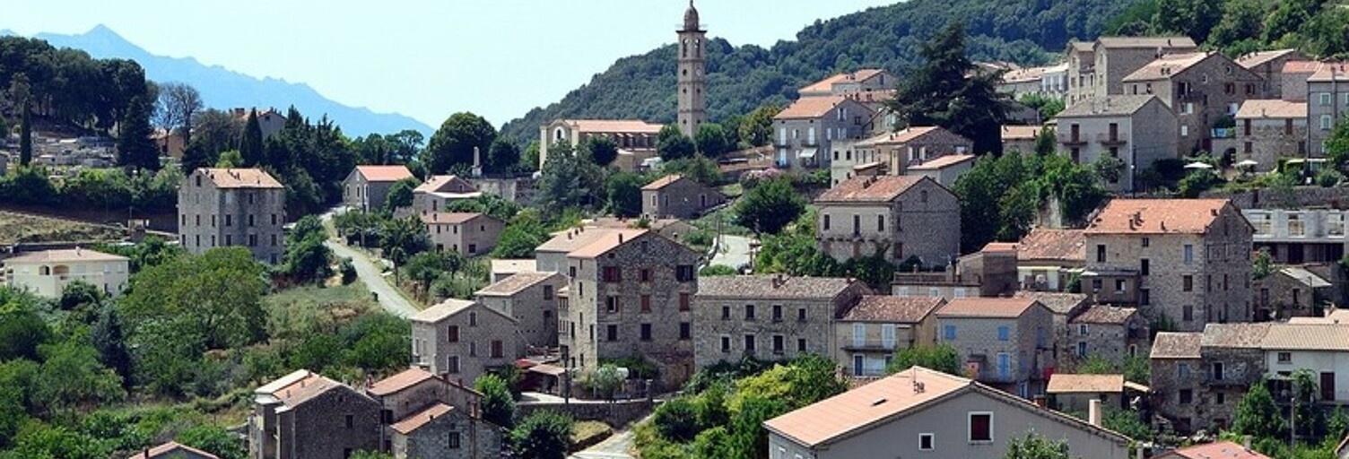 Terrain  5784 m² à vendre à Levie (20170)