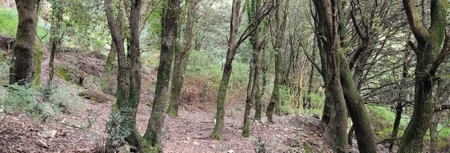 Terrain  5784 m² à vendre à Levie (20170)