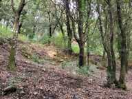 Dpt Corse (20), à vendre LEVIE terrain — photo 2