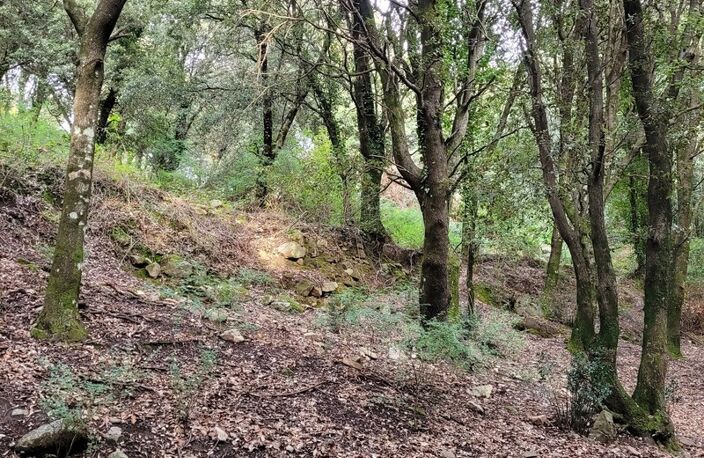 Dpt Corse (20), à vendre LEVIE terrain — photo 2