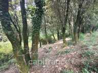 Dpt Corse (20), à vendre LEVIE terrain — photo 4