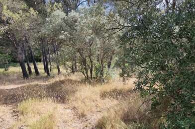 Terrain  590000 €
