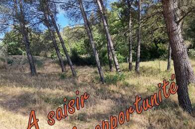 Terrain  530000 €