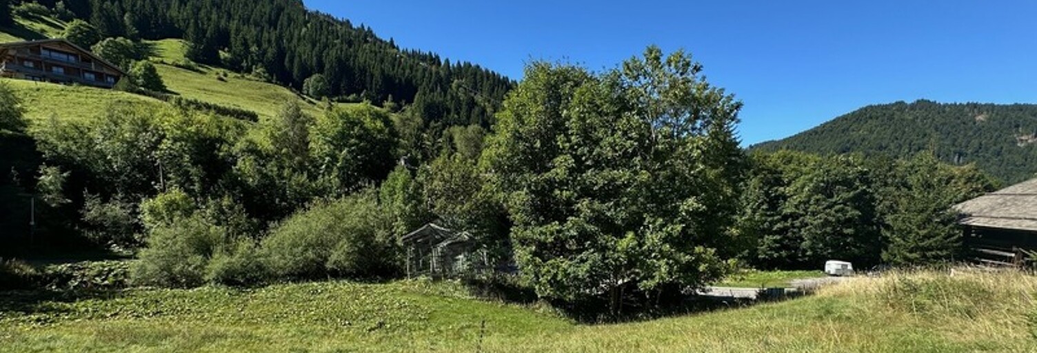 Terrain  770 m² à vendre à La Clusaz (74220)