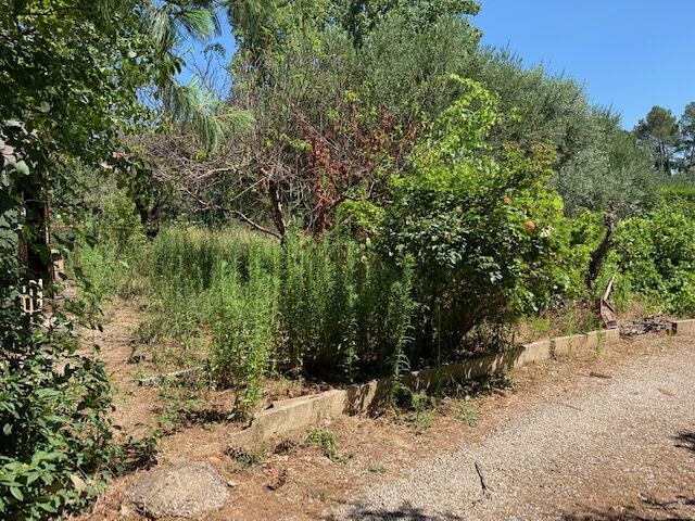 Terrain  à vendre Val (Le) 83143