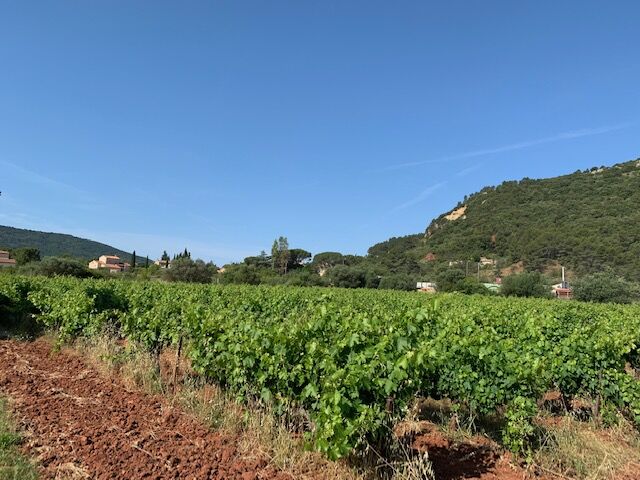 Terrain  à vendre Gonfaron 83590