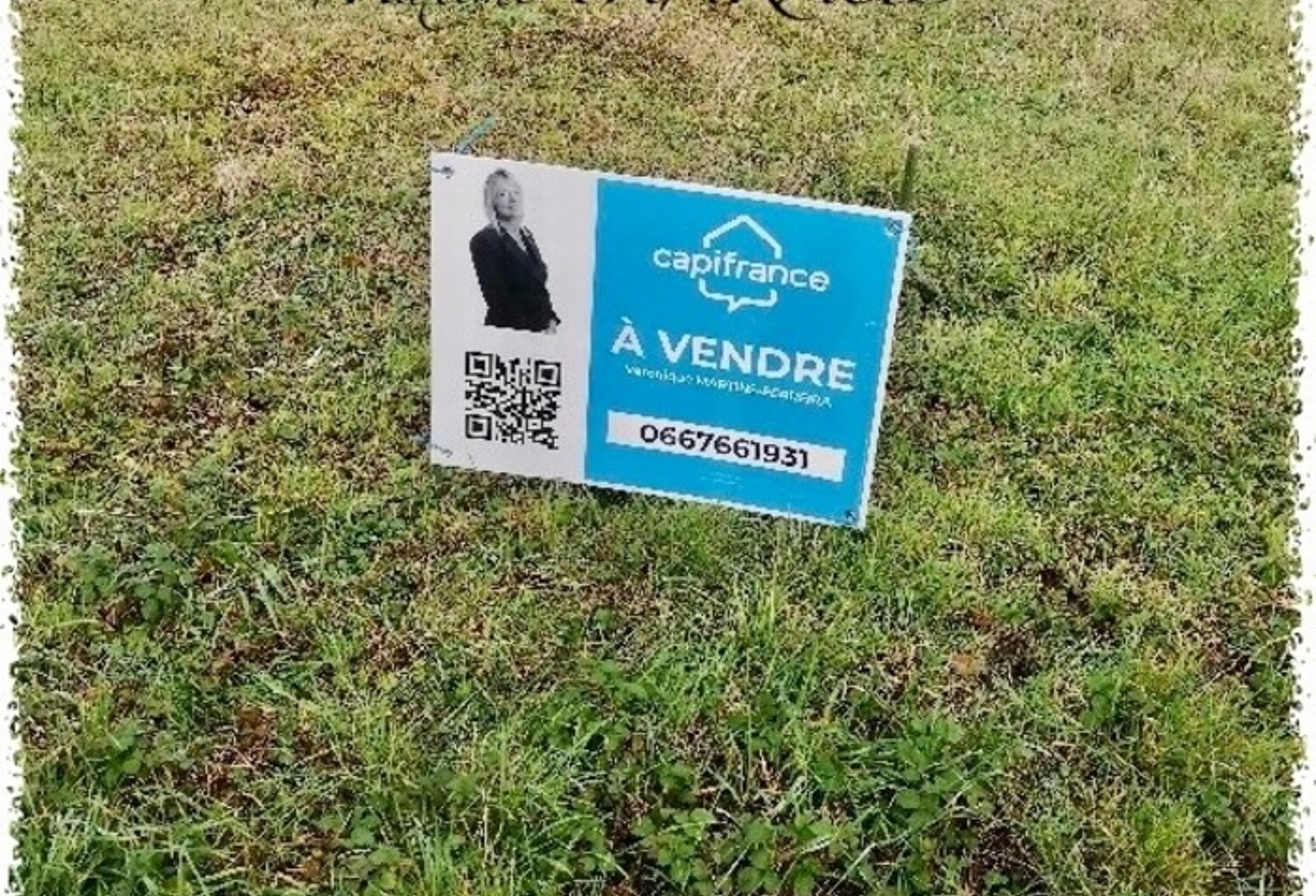 Dpt Cher (18), à vendre QUINCY terrain 3380m2 — photo 1