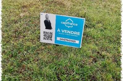 Dpt Cher (18), à vendre QUINCY terrain 1476m2 — photo du bien