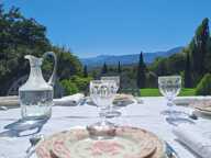 HAUTEURS DE NAY - PROPRIETE D'EXCEPTION - 20 mn de PAU/TARBES/LOURDES — photo 4