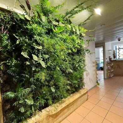 Commerce  299000 €