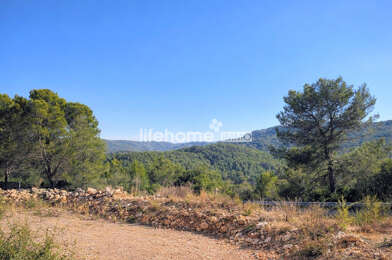 Terrain  98100 €