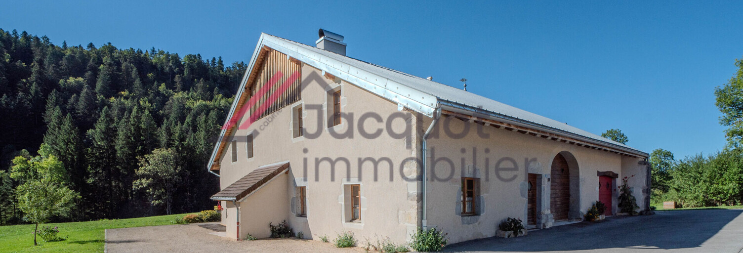 Maison 10 Pièces 300 m² à vendre à Saint-Laurent-en-Grandvaux (39150)