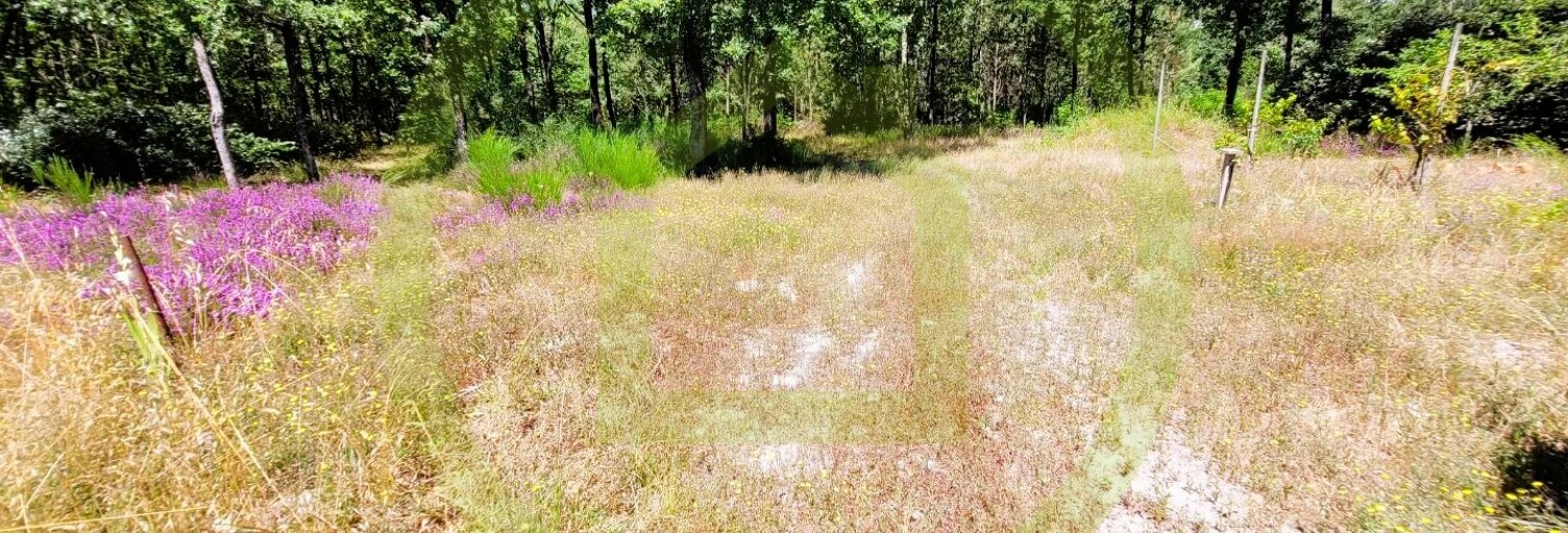 Maison 4 Pièces 111 m² à vendre à Étauliers (33820)