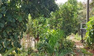 Terrain  400 m² à vendre à Saint-Paul (97411)