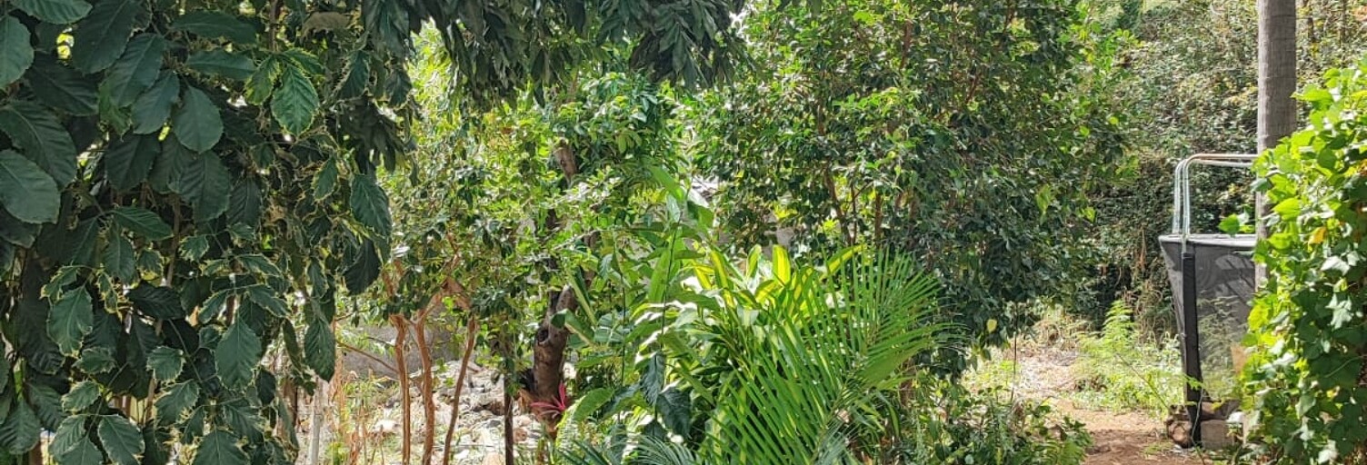 Terrain  400 m² à vendre à Saint-Paul (97411)