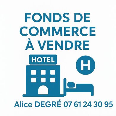 Commerce  330000 €
