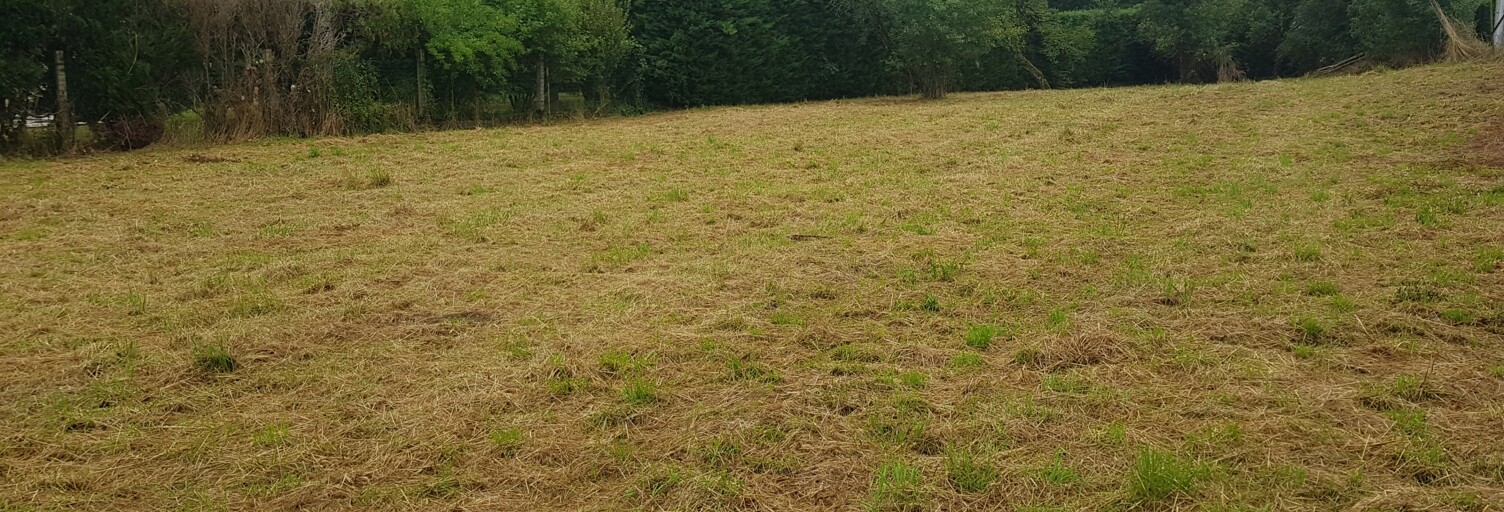 Terrain  1498 m² à vendre à Larzicourt (51290)