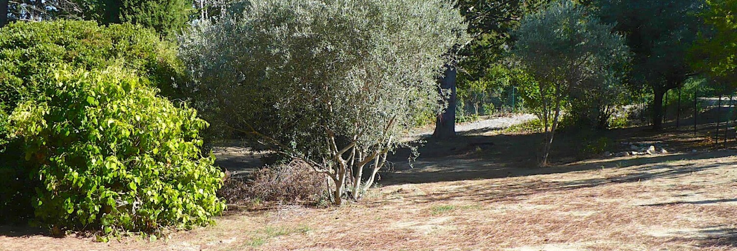 Terrain  1013 m² à vendre à Pierrevert (04860)