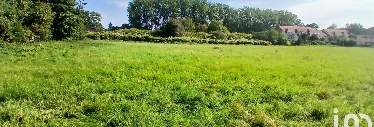 Terrain  8589 m² à vendre à Condé-sur-l'Escaut (59163)