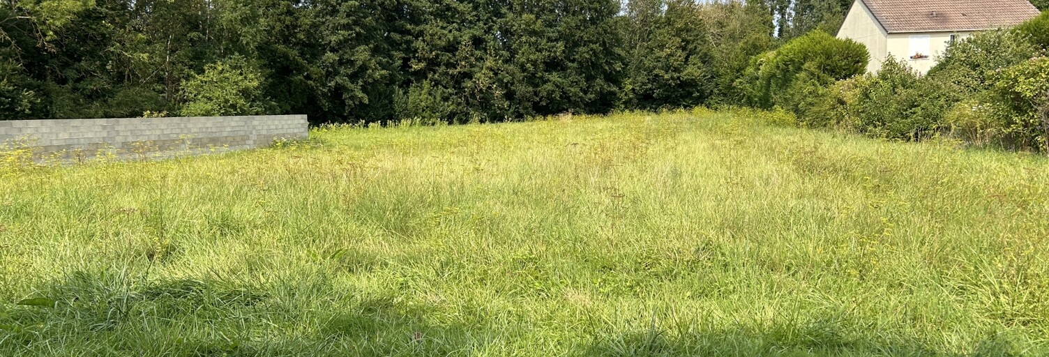 Terrain  1350 m² à vendre à Loivre (51220)