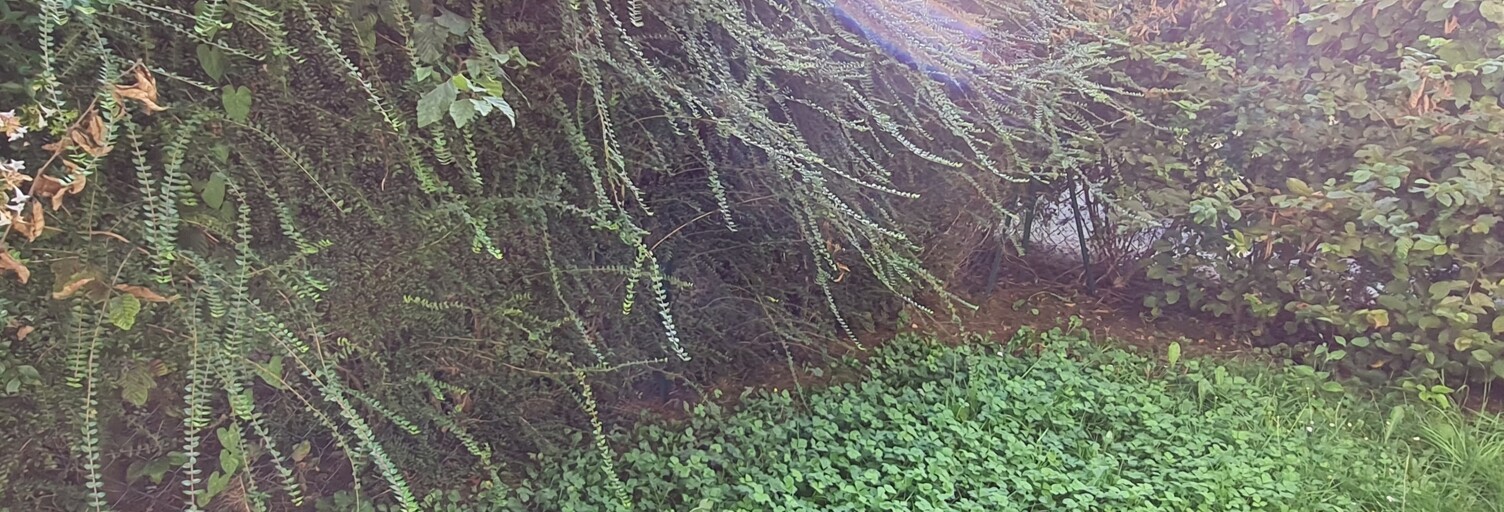 Appartement 1 Pièce 25 m² à vendre à Roissy-en-Brie (77680)